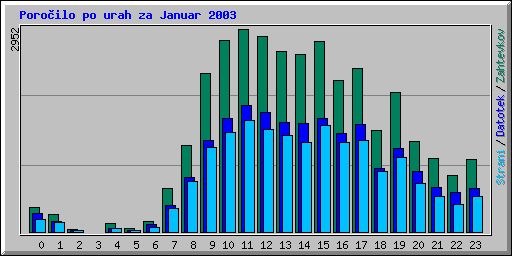 Poroilo po urah za Januar 2003