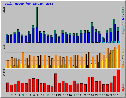 Daily usage for January 2013