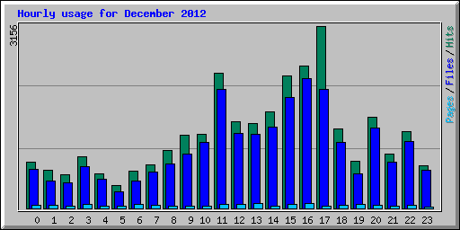 Hourly usage for December 2012