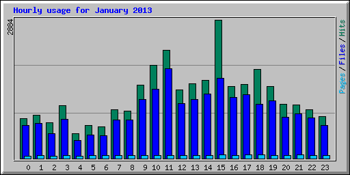 Hourly usage for January 2013