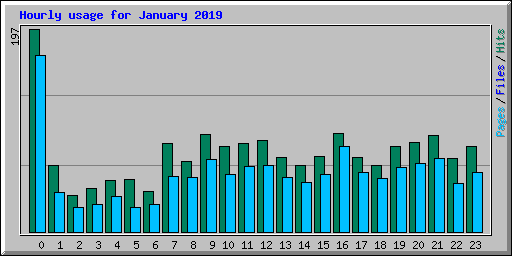 Hourly usage for January 2019