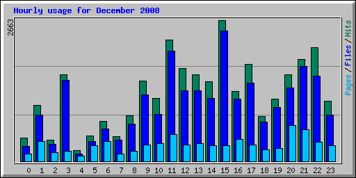 Hourly usage for December 2008