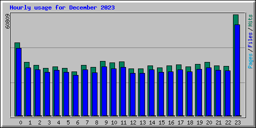 Hourly usage for December 2023