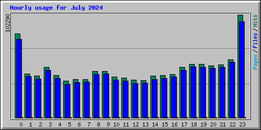 Hourly usage for July 2024