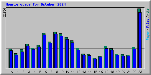 Hourly usage for October 2024