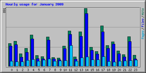 Hourly usage for January 2009