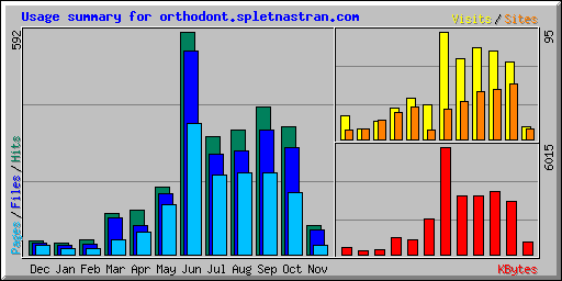 Usage summary for orthodont.spletnastran.com