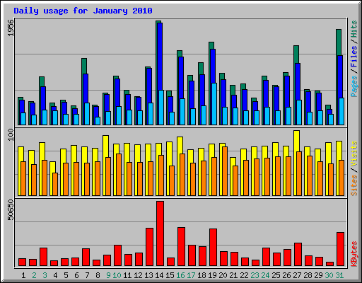 Daily usage for January 2010