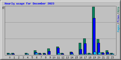 Hourly usage for December 2023