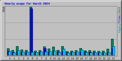 Hourly usage for March 2024