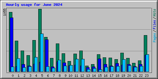 Hourly usage for June 2024