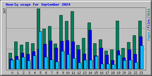 Hourly usage for September 2024