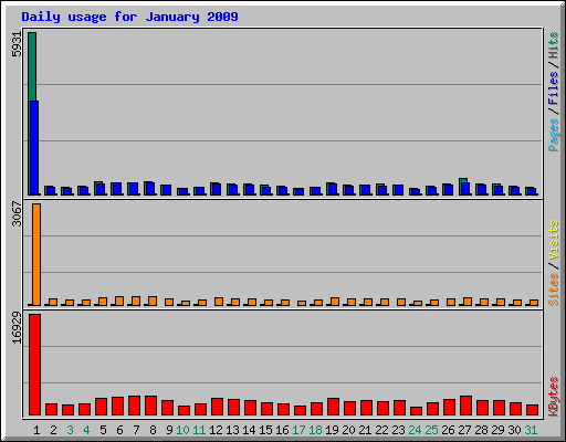 Daily usage for January 2009