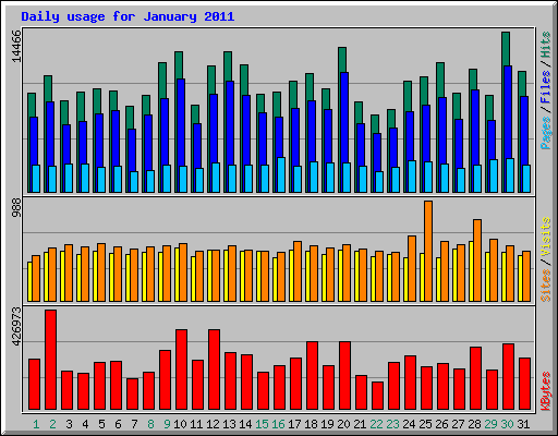 Daily usage for January 2011