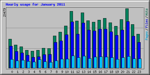 Hourly usage for January 2011