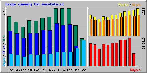 Usage summary for eurofoto.si