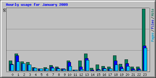 Hourly usage for January 2009