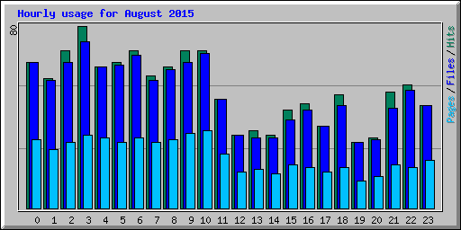 Hourly usage for August 2015