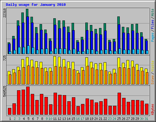 Daily usage for January 2010