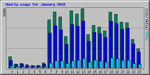 Hourly usage for January 2010