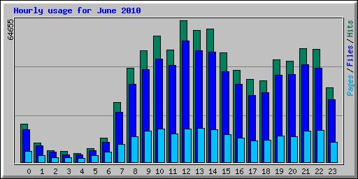 Hourly usage for June 2010