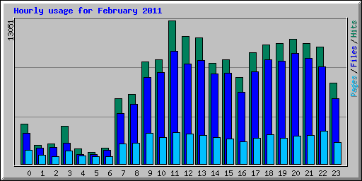 Hourly usage for February 2011