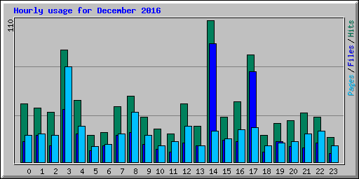 Hourly usage for December 2016