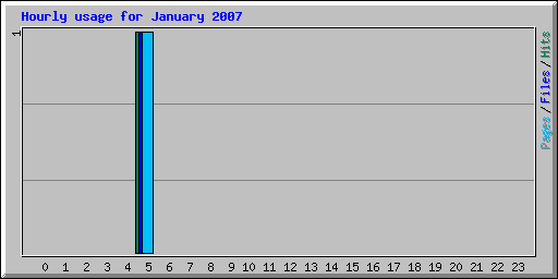 Hourly usage for January 2007