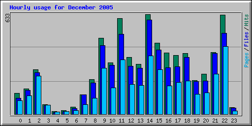 Hourly usage for December 2005