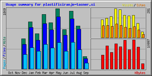 Usage summary for plastificiranje-tasner.si