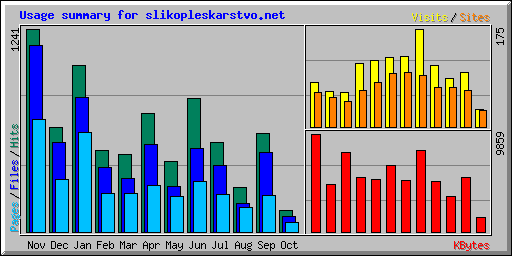 Usage summary for slikopleskarstvo.net