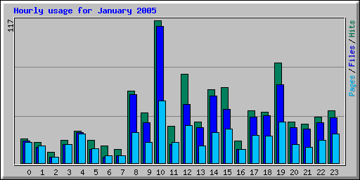 Hourly usage for January 2005