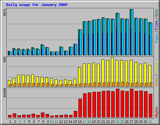 Daily usage for January 2009