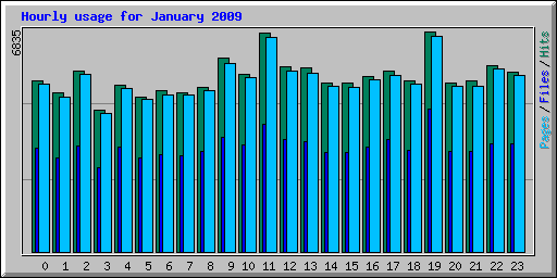 Hourly usage for January 2009