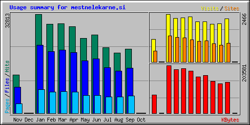 Usage summary for mestnelekarne.si