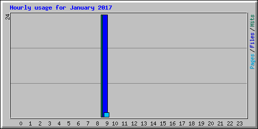 Hourly usage for January 2017