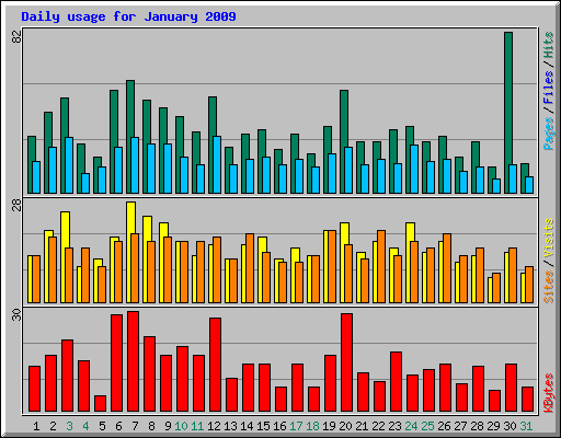 Daily usage for January 2009