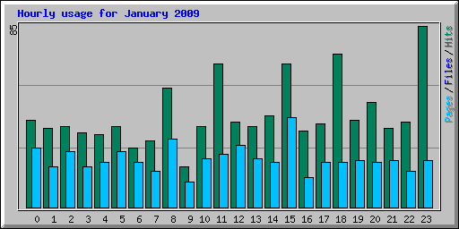 Hourly usage for January 2009