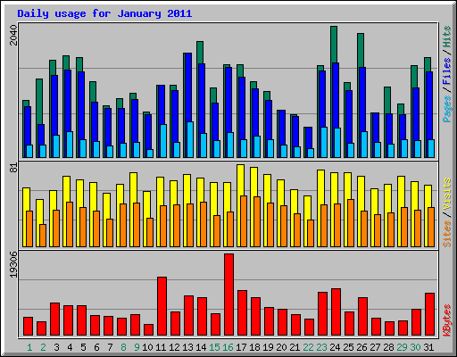 Daily usage for January 2011