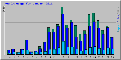 Hourly usage for January 2011