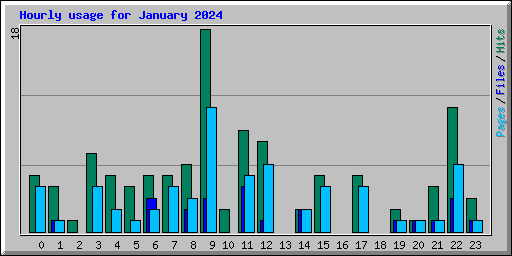 Hourly usage for January 2024