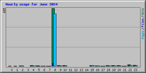 Hourly usage for June 2024