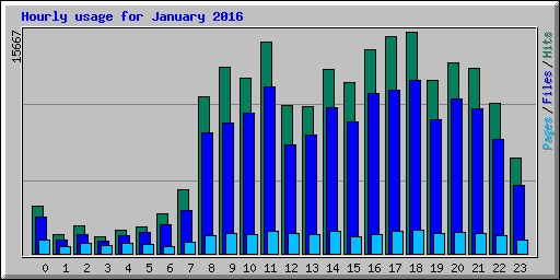 Hourly usage for January 2016