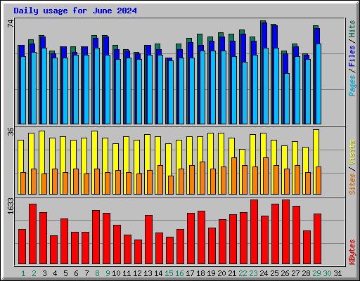 Daily usage for June 2024