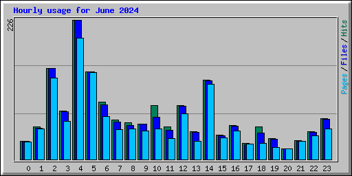 Hourly usage for June 2024