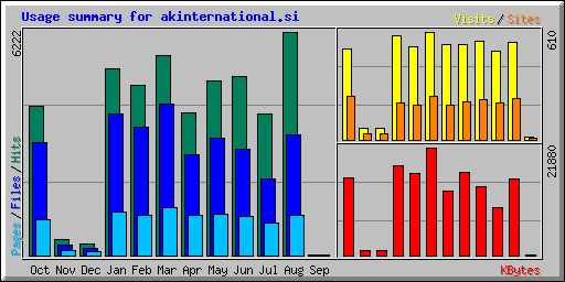 Usage summary for akinternational.si