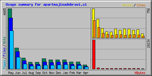 Usage summary for apartmajinadobravi.si