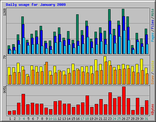 Daily usage for January 2009