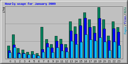 Hourly usage for January 2009