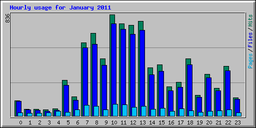 Hourly usage for January 2011